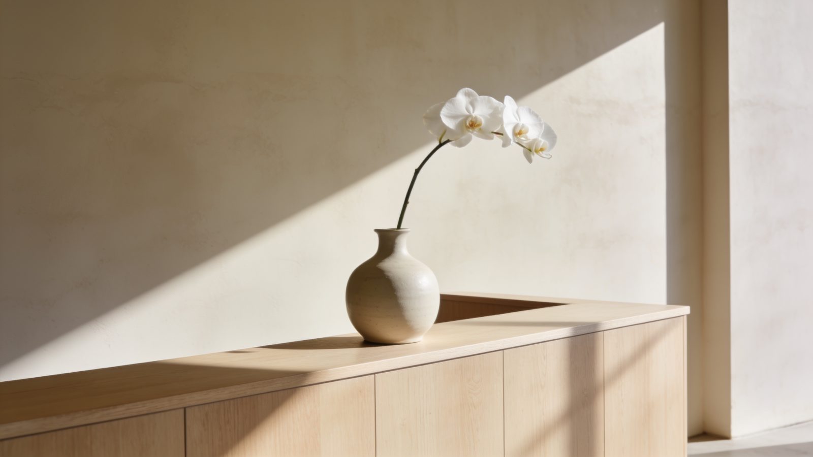 A single white orchid stem in a ceramic vase on a pale timber counter
